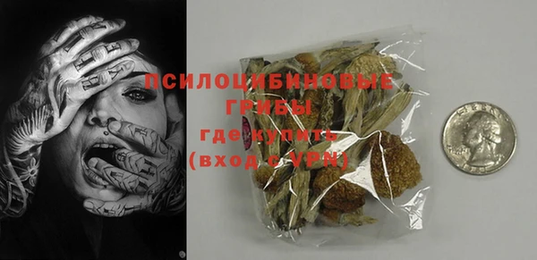 дживик Белокуриха